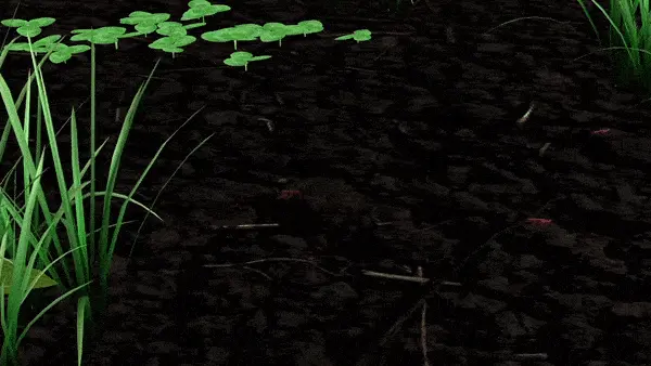 Ants on the ground